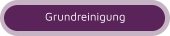 Grundreinigung